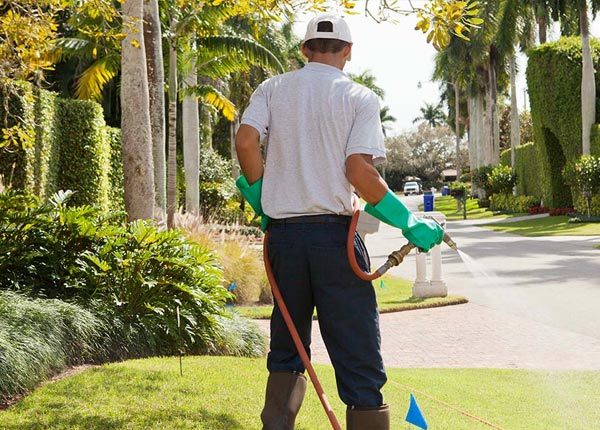 About Derry NM Pest Control